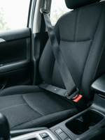 Standard Seat Belts